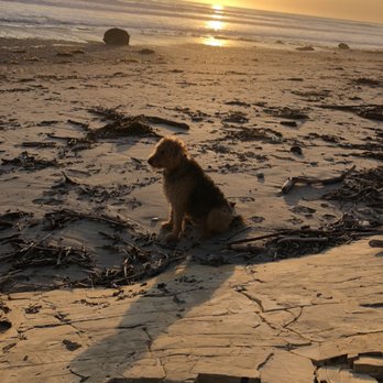 Jalama Beach County Park - Campgrounds Near Me - Lompoc, California