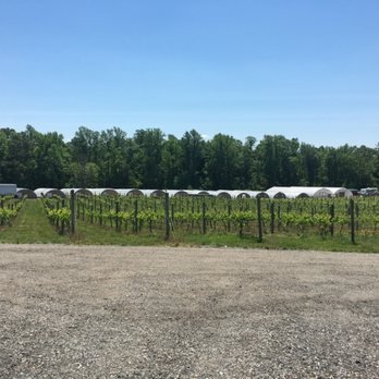 Saudé Creek Vineyards - May 2016 - Wineries Near Me - Lanexa, Virginia Saudé Creek Vineyards - May 2016 - Wineries Near Me - Lanexa, Virginia