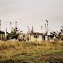 Photo of Homestead City of
