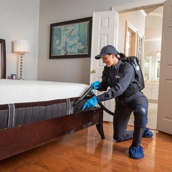 Springer Professional Home Services - Pest Control Near Me - Des Moines, Iowa Springer Professional Home Services - Pest Control Near Me - Des Moines, Iowa