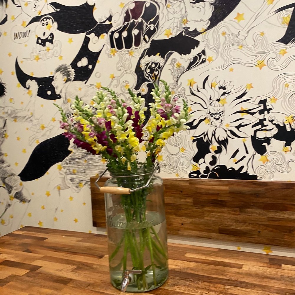 Boba Star - Beautiful plants - Bubble Tea Near Me - Corona, California