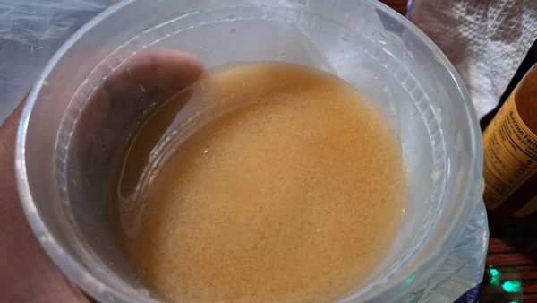 SUSHIYA (Pasadena) by null