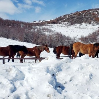 Saddleback Ranch - Tubing Near Me - Steamboat Springs, Colorado