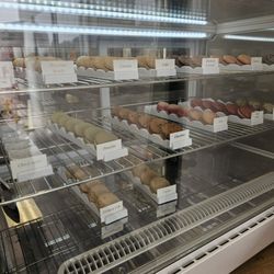 Tsaocaa - Macarons