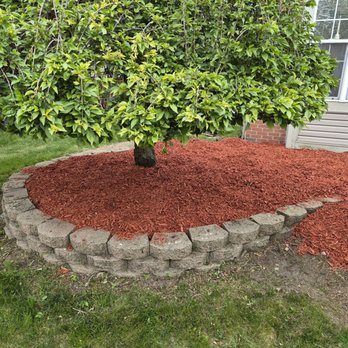 DB Landscaping And Snow Removal - Cleared another tree behind this one and re did the mulch.   This guy is awsume.  His prices are reasonable. - Snow Removal Near Me