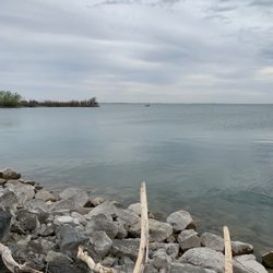 Willow Bay Campground - Fishing off the shores of Willow Bay