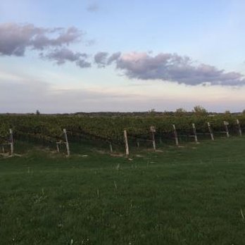 Ravine Vineyard Estate Winery - Wineries Near Me - St Davids, Ontario