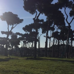 Pineta Sacchetti