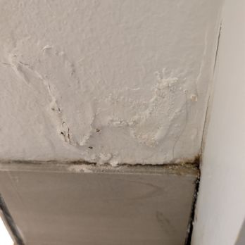 Hampton Inn Concord/Bow - Sheetrock damage from water wicking up the wall, mold growing in the corner - Hotels Near Me - Bow, New Hampshire