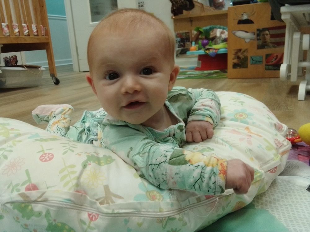 The Community Day School - childcare center in Pleasant View, TN