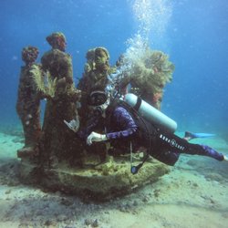 A' HA' Scuba Diving