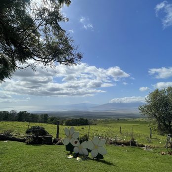 Kula Country Farms - Farmers Market Near Me - Kula, Hawaii Kula Country Farms - Farmers Market Near Me - Kula, Hawaii