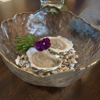 Apt 115 - Wine Bars Near Me - Austin, Texas