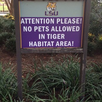 Mike the Tiger Habitat - Local Flavor Near Me - Baton Rouge, Louisiana Mike the Tiger Habitat - Local Flavor Near Me - Baton Rouge, Louisiana
