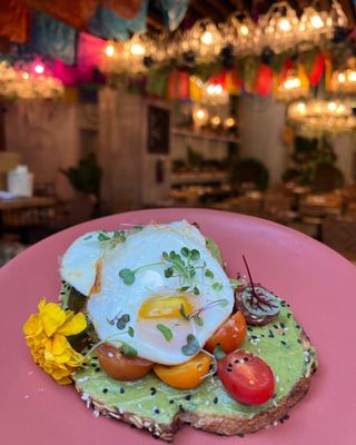 Ojo de Agua Brickell by null