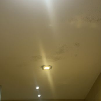 Leman Locke - Mold on bathroom ceiling - Hotels Near Me - London, XGL