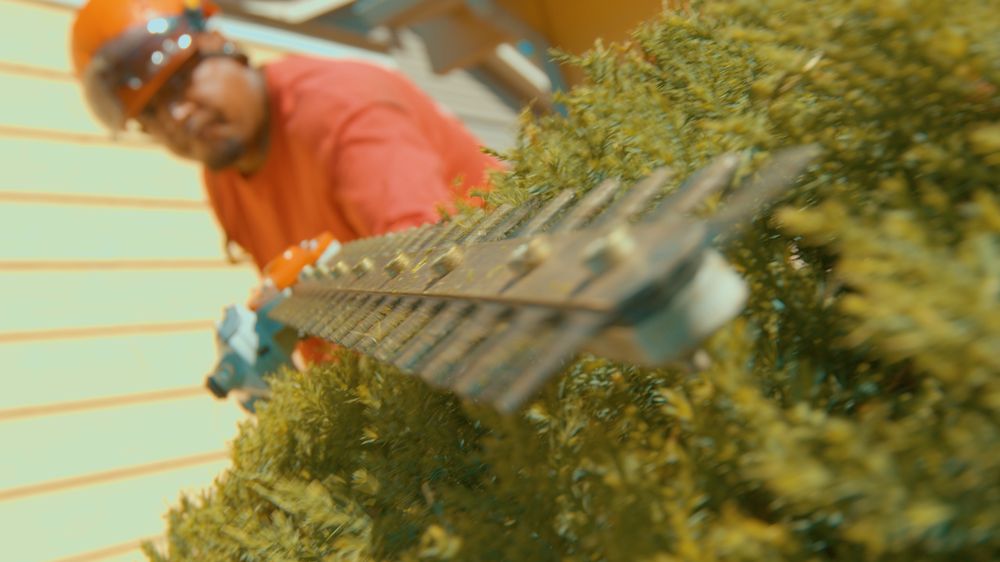 Prosperity - tree service in Aurora, CO