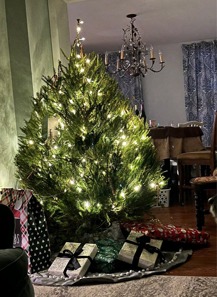 WATSON TREE FARM Updated August 2024 2477 County Line Rd