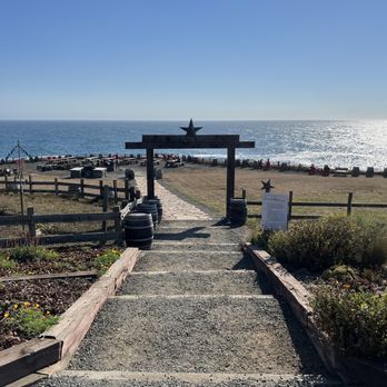 Pacific Star Winery - Path from tasting room to cliffs over looking Pacific Ocean, on the Mendocino Coast, Northern California. - Wineries Near Me - Fort Bragg, California Pacific Star Winery - Path from tasting room to cliffs over looking Pacific Ocean, on the Mendocino Coast, Northern California. - Wineries Near Me - Fort Bragg, California