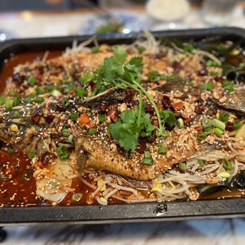 Chuan Tian Xia - Brooklyn - Grilled fish - Szechuan Near Me - Brooklyn, New York Chuan Tian Xia - Brooklyn - Grilled fish - Szechuan Near Me - Brooklyn, New York