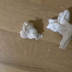 Red Roof PLUS+ Washington DC - Oxon Hill - Bloody tissue from the wall I cleaned