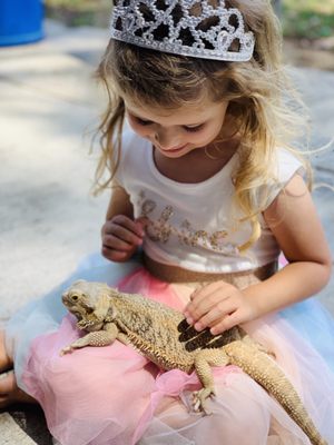 PUPPIES AND REPTILES FOR PARTIES - 144 Photos & 127 Reviews - Torrance