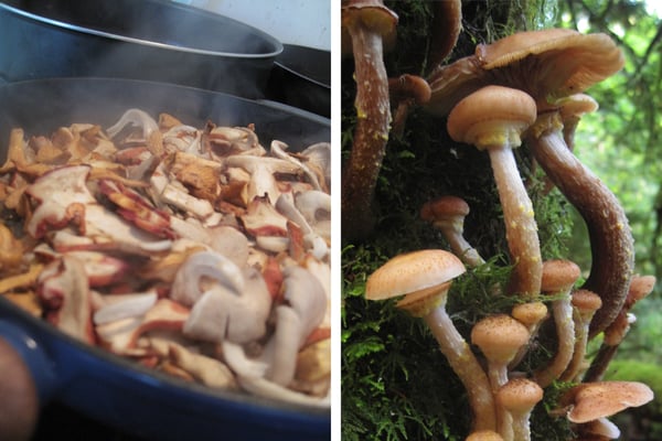 Swallow Tail Culinary Tours by null