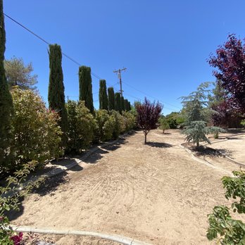 Mason's Treescape - Topped off cypress, prunes back trees/shrubs and removed stumps. - Tree Services Near Me - Hesperia, California Mason's Treescape - Topped off cypress, prunes back trees/shrubs and removed stumps. - Tree Services Near Me - Hesperia, California