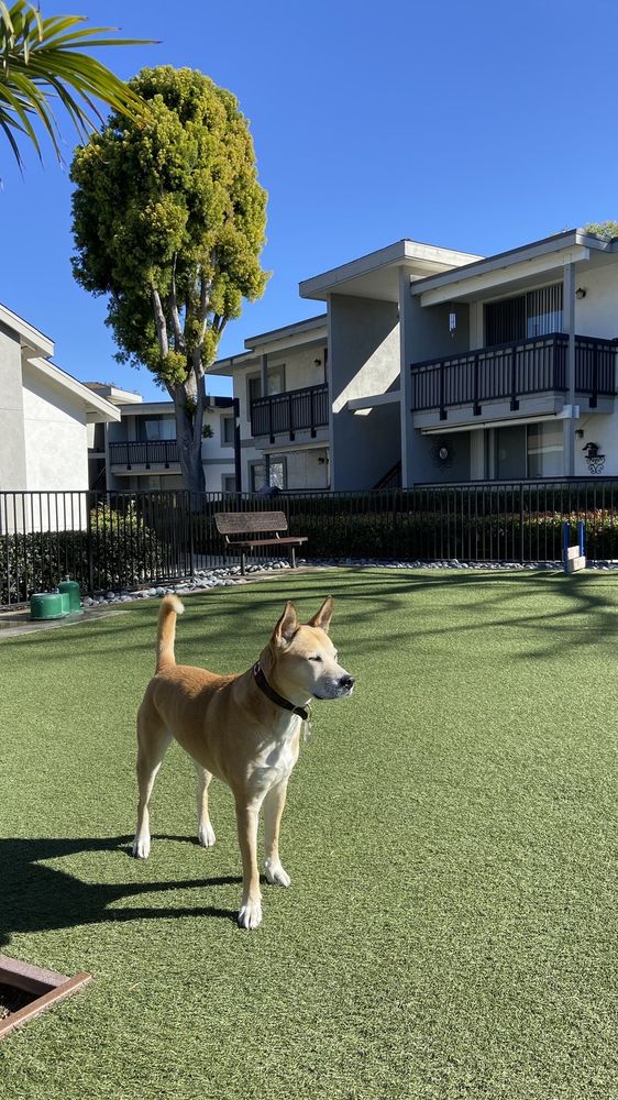 CITRON HOUSE BY PINNACLE PROPERTY MANAGEMENT CLOSED 36 Photos & 50