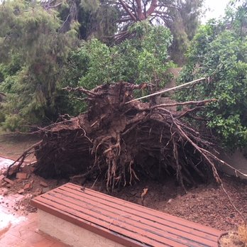 Liberty Tree Experts - Tree Services Near Me