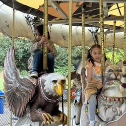 Niabi Zoo - Carousel - no one else riding