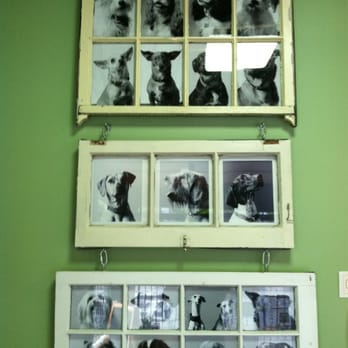 Doggy Business - Some of our regulars! - Pet Training Near Me - Portland, Oregon Doggy Business - Some of our regulars! - Pet Training Near Me - Portland, Oregon