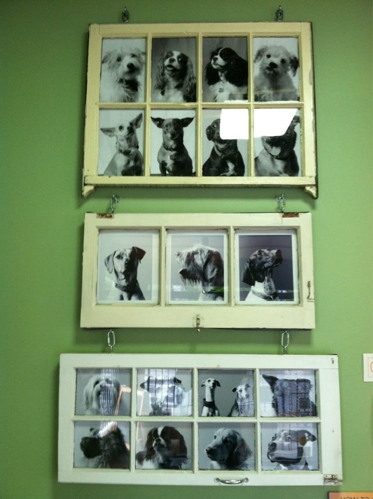 Doggy Business - pet boarding facility in Portland, OR