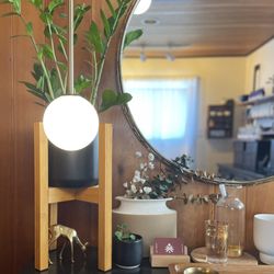 BORN + BORROWED Holistic Beauty