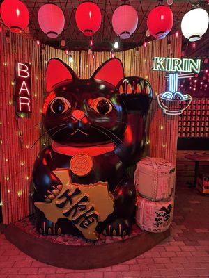 Domo Alley-Gato Tatsu-Ya by null