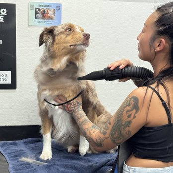 The Paw Spa LB - Pet Groomers Near Me - Long Beach, California The Paw Spa LB - Pet Groomers Near Me - Long Beach, California