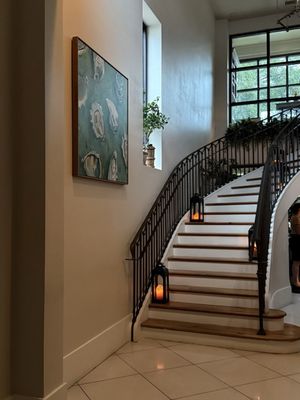 Wild Common by null Wild Common by null