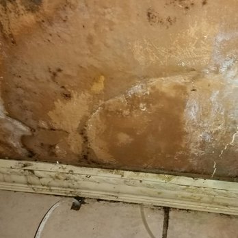Whirlpool Refrigerator Water Line Leaking Damage Walls Cabinet And