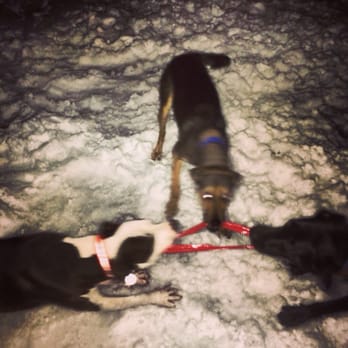 Rogers Park - Tug of war at night at Rogers Park - Parks Near Me - Brighton, Massachusetts