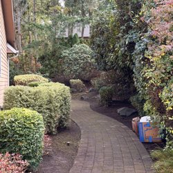 Synergy Landscape - After
