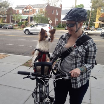 Happy Paws - Rex arriving in style for another day of doggie daycare! We miss him very much now that his family has moved to New Mexico. - Pet Training Near Me - Washington, DC, District of Columbia Happy Paws - Rex arriving in style for another day of doggie daycare! We miss him very much now that his family has moved to New Mexico. - Pet Training Near Me - Washington, DC, District of Columbia