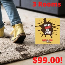 Dirty Dog Carpet, Surface and Duct Cleaning of Olathe