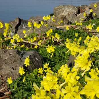 Ferry Point Picnic Area - Parks Near Me - Martinez, California