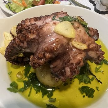Adega Mó - The chewiest octopus I've ever eaten in my life - Portuguese Near Me - Lisbon, 11