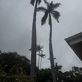 Punalu'u Bake Shop  - Bakeries Near Me - Naalehu, Hawaii