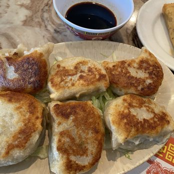 Canton Palace Chinese Restaurant - 6 Pan Fried Dumplings - Dim Sum Near Me - Miami, Florida