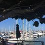 Photo of Cafe La Mer