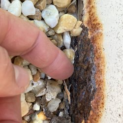 Clearwater Pools - Can stick our finger right through the pool wall