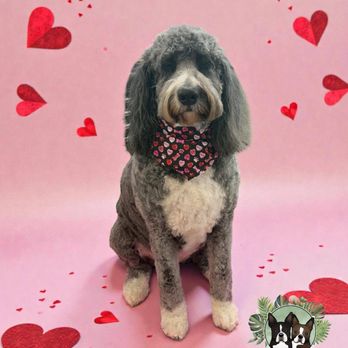 Riverside Pet Grooming - Pet Groomers Near Me - McHenry, Illinois Riverside Pet Grooming - Pet Groomers Near Me - McHenry, Illinois