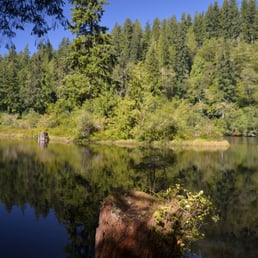 One of many perspectives of the lake. One of many perspectives of the lake.